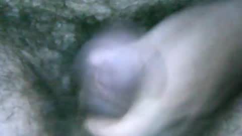 fer_2197 online show from 02-06-25, 01:54