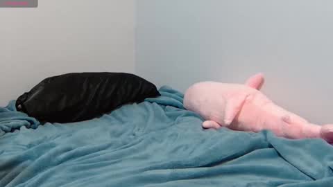 Snapshot of feralasf chatting on 01-12-25, 06:39 FE fee online show from 01-12-25, 06:39