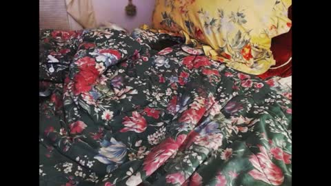 ferra_testarossa online show from 04-09-26, 02:33