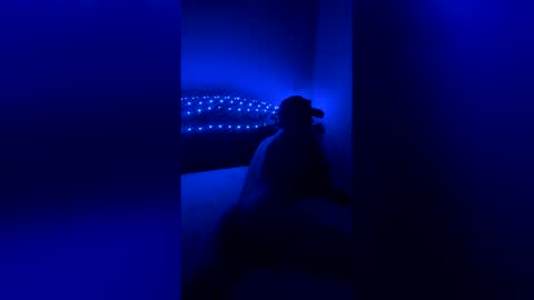 fipgrkqhvcgf online show from 05-17-26, 04:36