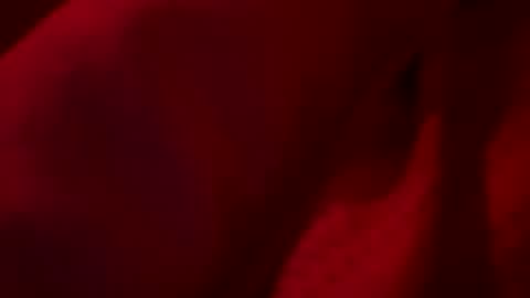 FirstTimeFeak online show from 05-23-26, 07:46