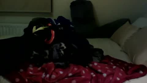 Fitbut online show from 01-30-25, 07:48