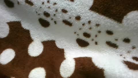 Snapshot of flora48230522373 chatting on 06-21-26, 05:21 flora48230522373 online show from 06-21-26, 05:21