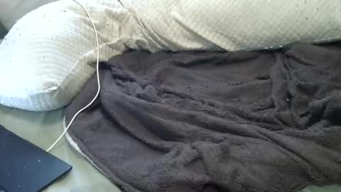 flufferbutt2 online show from 04-11-26, 12:48