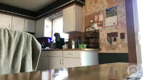 Snapshot of frankdaddy896 chatting on 04-08-26, 12:38 Frank online show from 04-08-26, 12:38