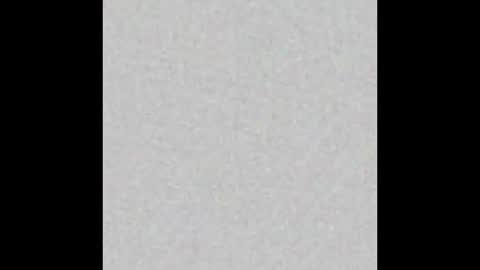 frank online show from 02-01-26, 11:53
