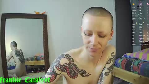 Snapshot of frankiecatalyst chatting on 07-13-26, 11:46 Frankie Catalyst online show from 07-13-26, 11:46