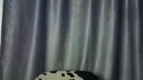 Snapshot of freaky_brula chatting on 07-02-26, 02:00 freaky brula online show from 07-02-26, 02:00