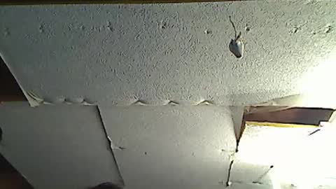 fromanotherplanet24 online show from 03-17-26, 11:41