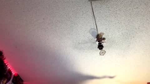 Snapshot of frozen232 chatting on 04-01-26, 07:53 Fabian online show from 04-01-26, 07:53