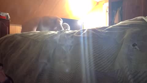 77daddy online show from 02-23-26, 04:04