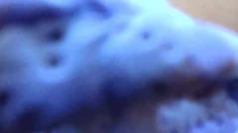 gabriela online show from 02-14-26, 07:10