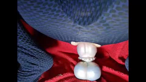 generalerectional online show from 10-18-25, 07:42