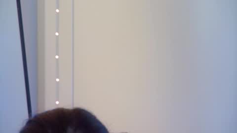 GentleRossi online show from 10-01-25, 04:02