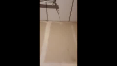 gerardo_1103 online show from 06-03-26, 10:40