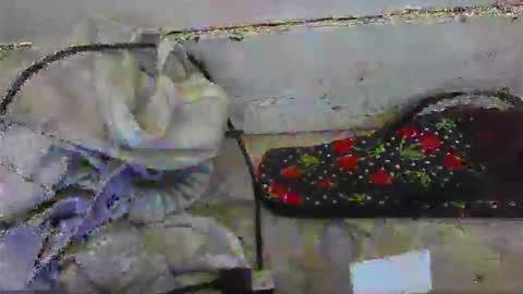 gezuz42069 online show from 05-03-26, 11:22