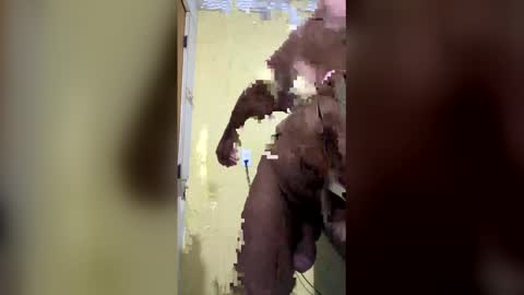 gifted online show from 04-06-26, 07:31