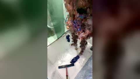 gifted online show from 04-20-26, 07:00