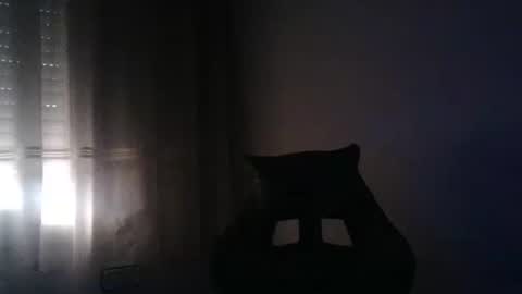 gioshadow online show from 05-26-26, 03:52