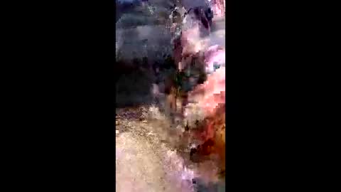 dan online show from 02-22-26, 07:45