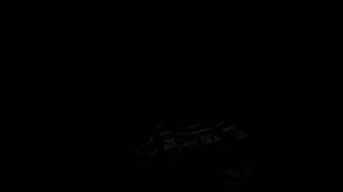 goatchocolate online show from 12-22-24, 05:45