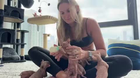 Gracie Mae online show from 06-24-26, 09:25