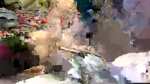 Lisa online show from 01-07-25, 03:35