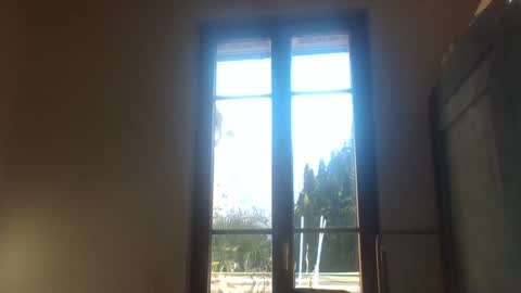 Greenmoon online show from 12-18-24, 11:45