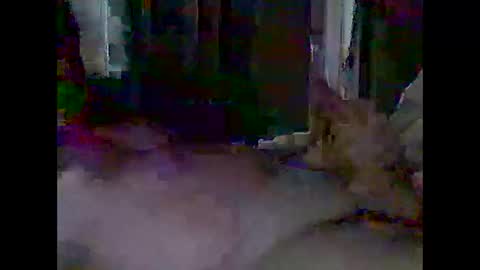 grittslappa online show from 04-28-26, 03:00