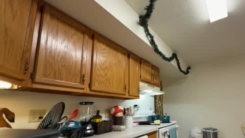 gucciboi4 online show from 11-23-25, 07:35