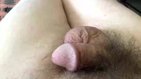 guttersnipe71 online show from 04-01-26, 01:41