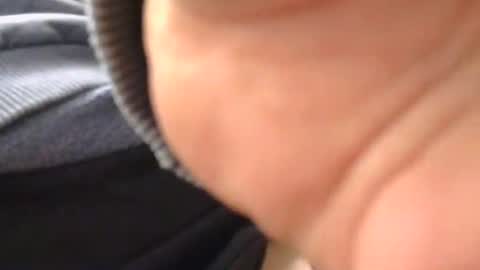 gydayu2 online show from 05-13-26, 12:52