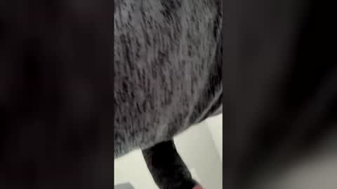 Snapshot of h4fun69 chatting on 03-06-26, 05:53 Ricko online show from 03-06-26, 05:53