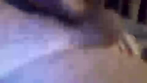 Snapshot of h_rd333 chatting on 03-11-25, 01:45 h_rd333 online show from 03-11-25, 01:45