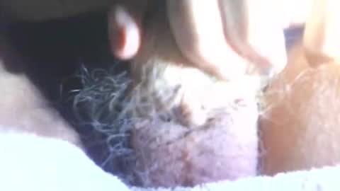 hagridthehorrible online show from 01-11-26, 06:57