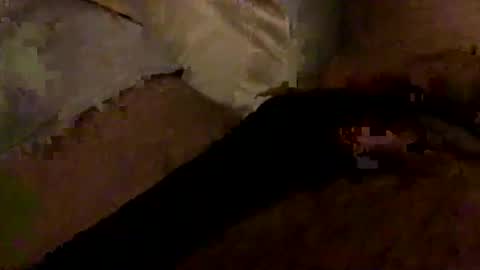 Bruce online show from 01-10-26, 03:30