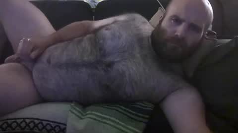 Hairiest Bear online show from 06-28-26, 09:59