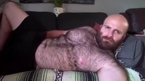 Hairiest Bear online show from 07-31-26, 08:30
