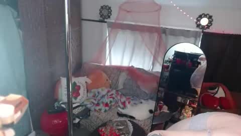 halovalentine online show from 05-05-26, 04:15