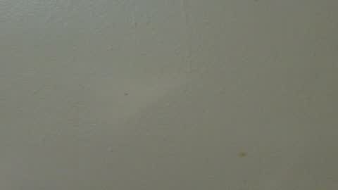 hamhead71 online show from 02-07-25, 01:36