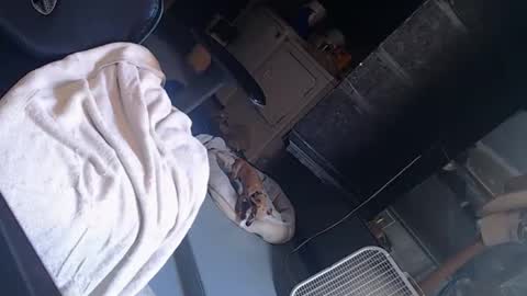 handystud33 online show from 06-03-26, 04:01