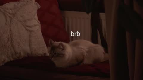 Snapshot of hannasthesia chatting on 02-03-26, 06:40 Hanna online show from 02-03-26, 06:40