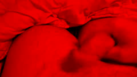 Small things matters online show from 03-08-26, 06:12