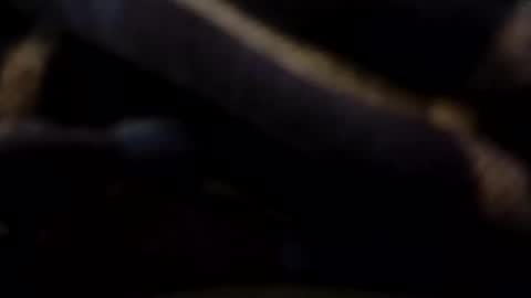 hardandhorny422 online show from 05-09-26, 07:30