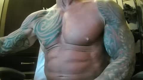 hardbody205a online show from 02-19-25, 01:40