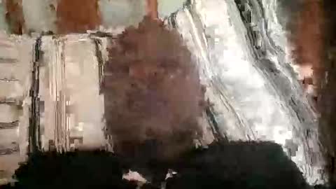 hardcock405186 online show from 03-28-26, 08:58