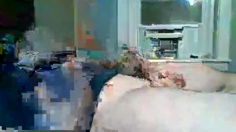 Snapshot of hardcockoncam22 chatting on 11-30-25, 06:50 cervixpainter25 online show from 11-30-25, 06:50