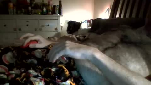 hardnick696 online show from 02-13-25, 03:39