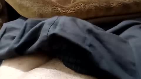 hash86194455 online show from 02-12-25, 04:55