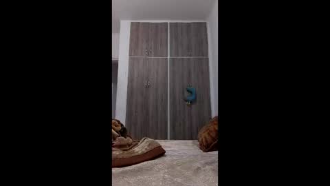 hassane12 online show from 04-02-26, 11:24